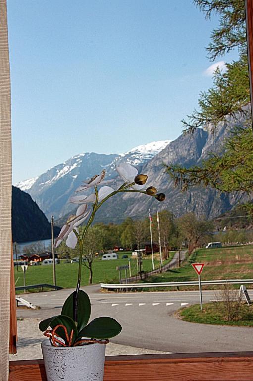 Twin Room with Shared Bathroom,644246355:JPEG