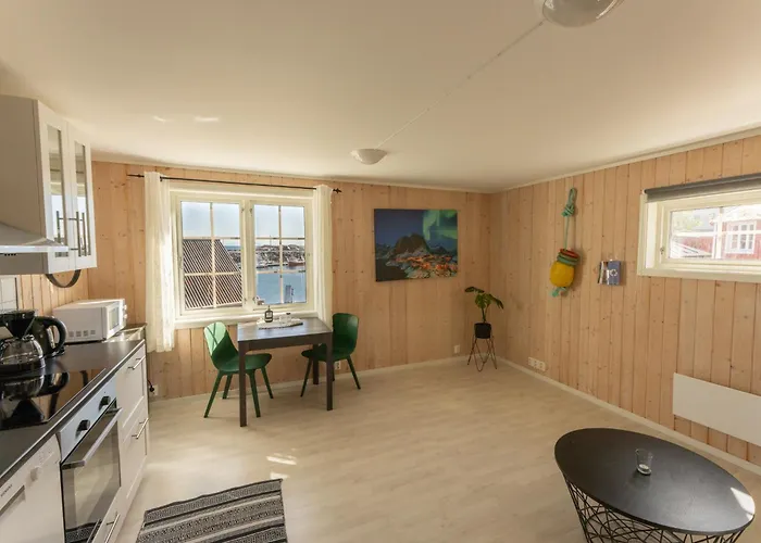 Hoteles que admiten perros en Lofoten