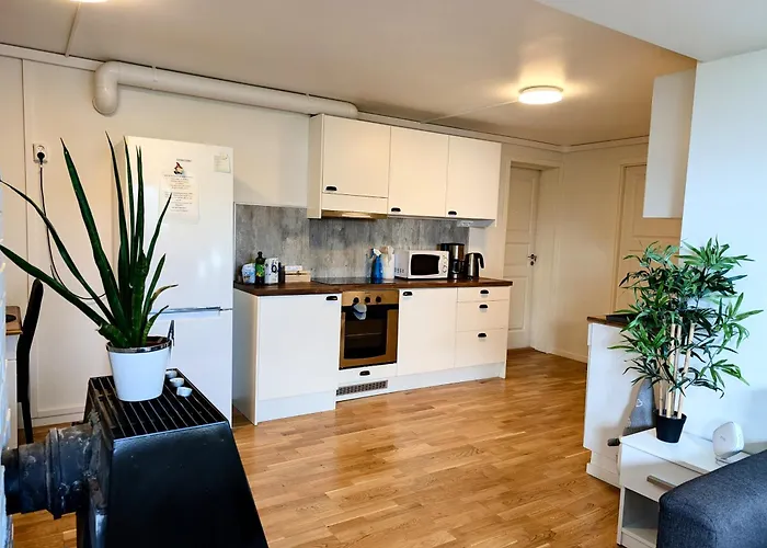 Aurora Rooms In Shared Apartment Nr2 We Are Doing Privet Northen Lights Trips, Reindeer Trip And Fjord Sommaroy Trip Tromsø