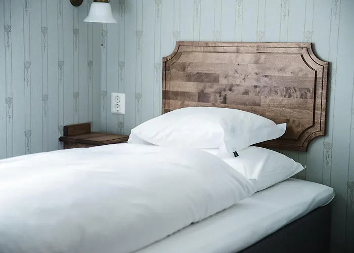 Alvdal Hotels